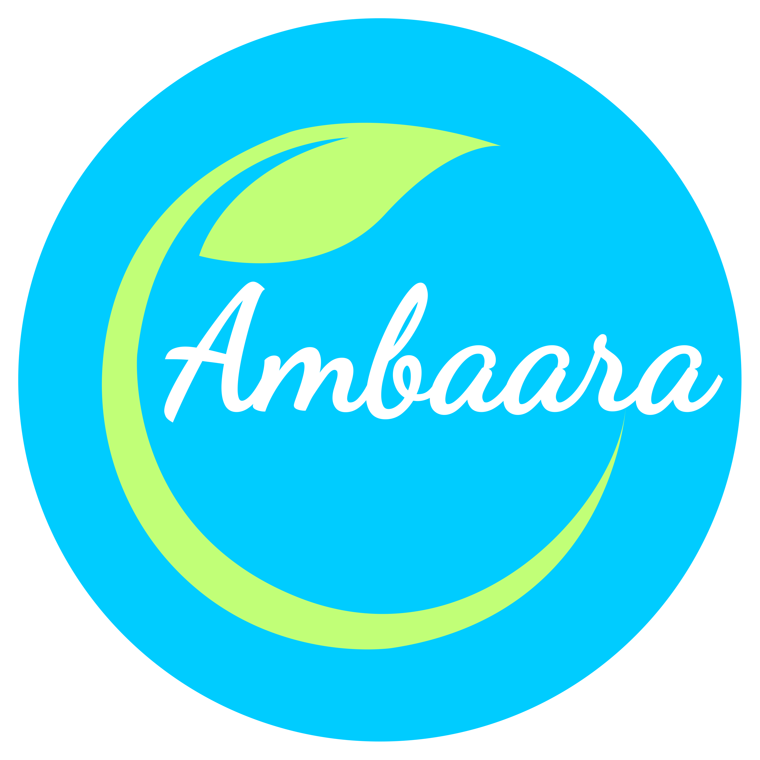 ambaara.com